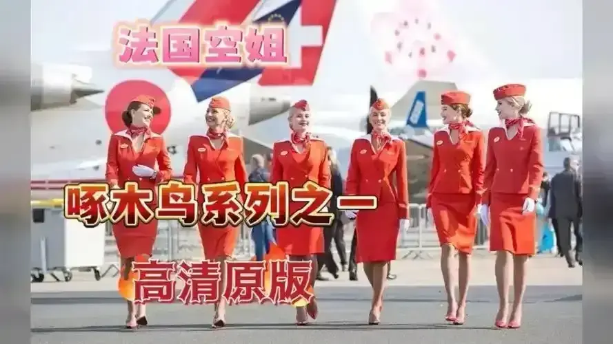 《法国空姐2019/不雅空乘》未删减版HD在线观看-法国空姐1080P高清中字原片-免费无障碍播放完整资源
